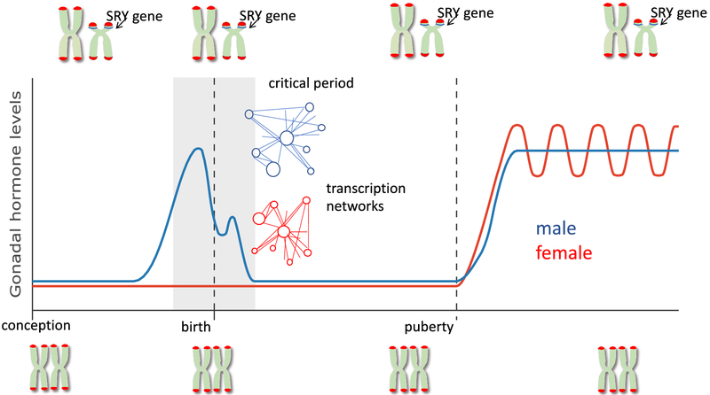 Figure 2: