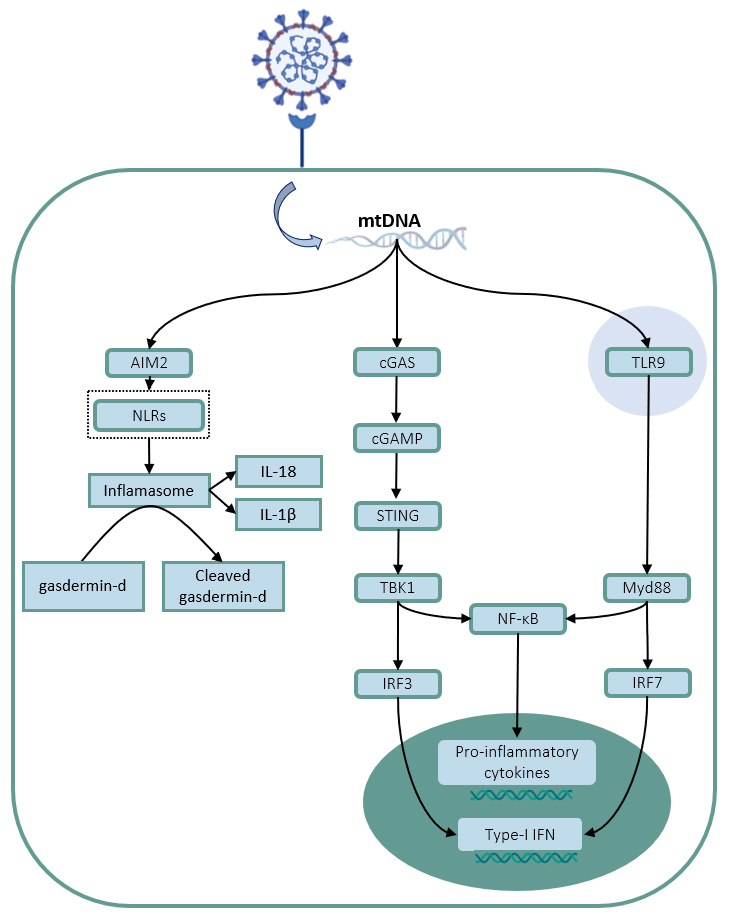 Figure 2.