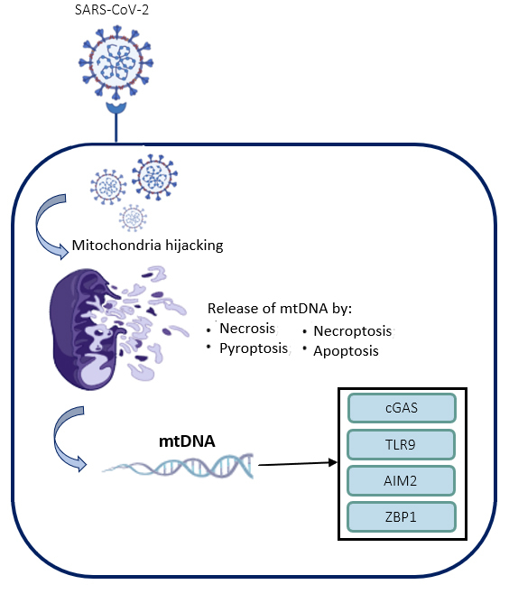 Figure 3.