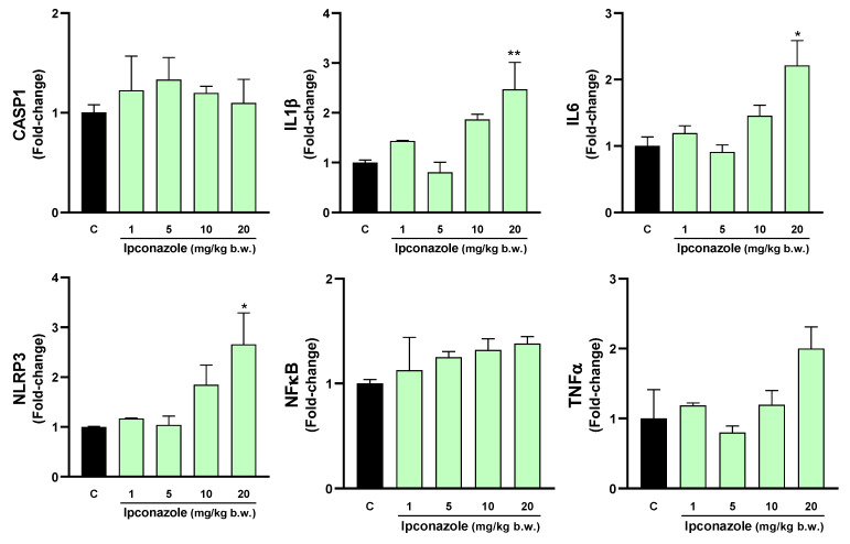 Figure 11