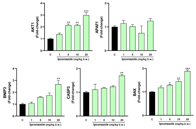 Figure 7