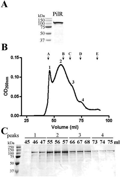 FIG. 6.