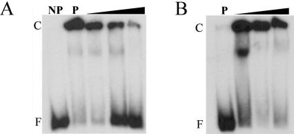 FIG. 7.