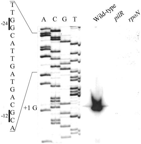 FIG. 5.