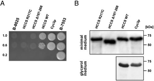 Figure  4. 