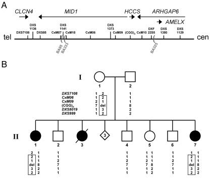 Figure  1. 