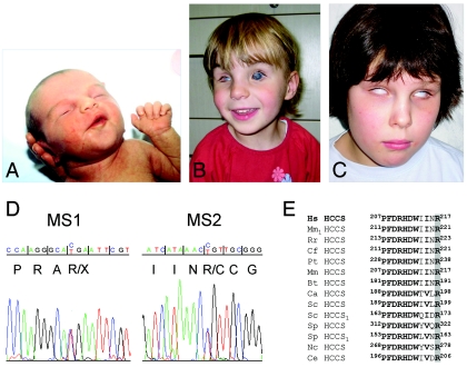 Figure  3. 