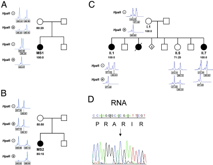 Figure  6. 