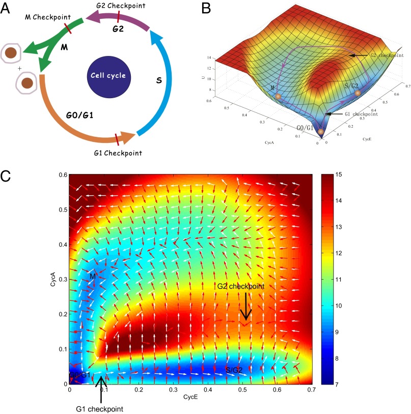 Fig. 2.