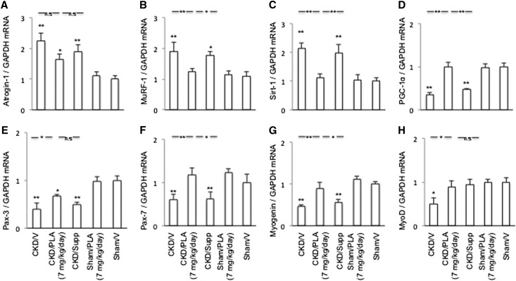 Figure 12.