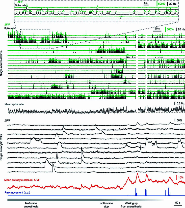 Extended Data Fig. 10