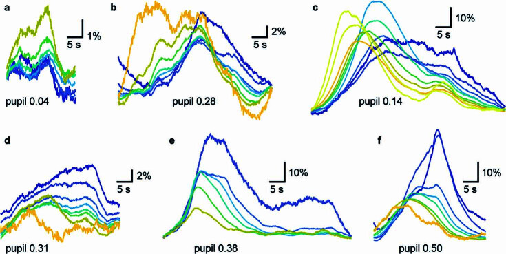 Extended Data Fig. 7