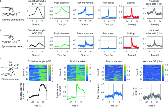 Extended Data Fig. 2