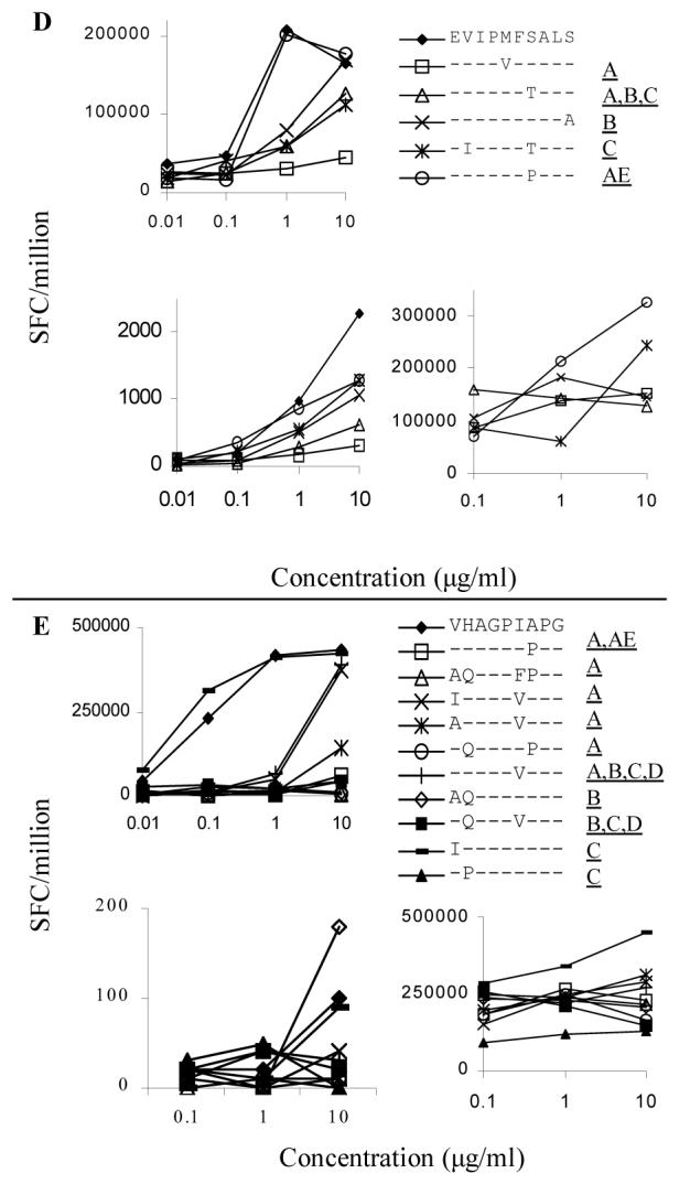 FIG 2, A-E