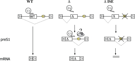 Figure 7.