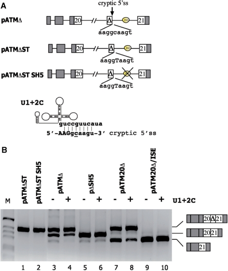 Figure 6.