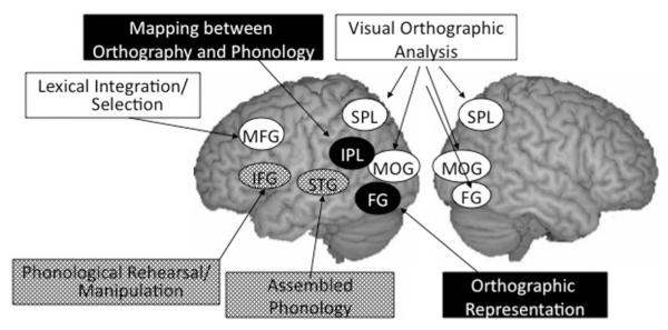 FIGURE 1