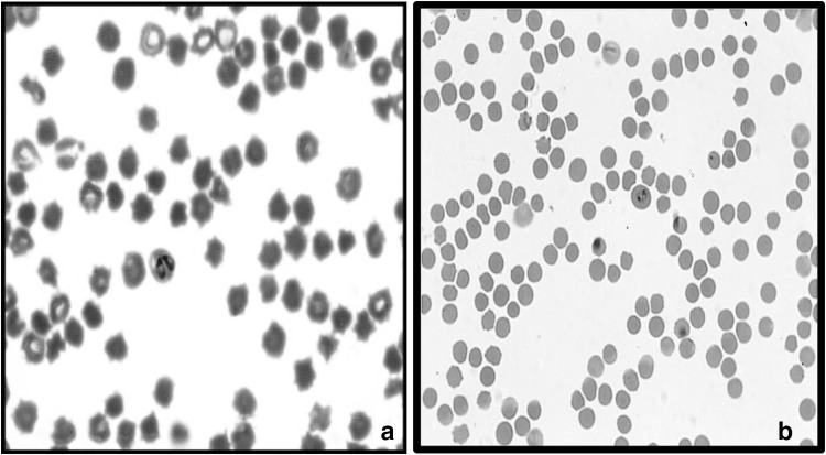 Fig. 3