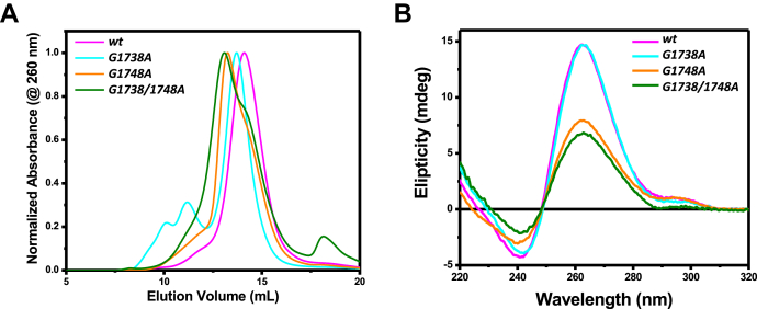 Figure 2