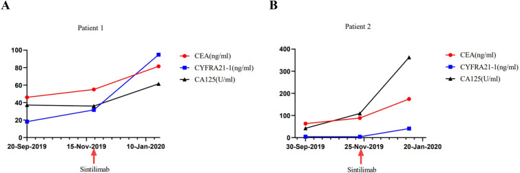 Fig. 3