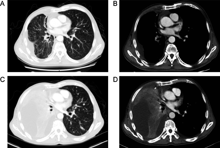 Fig. 2