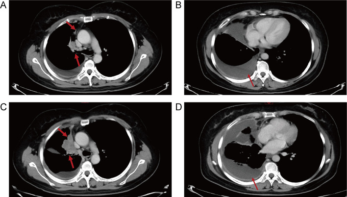 Fig. 5