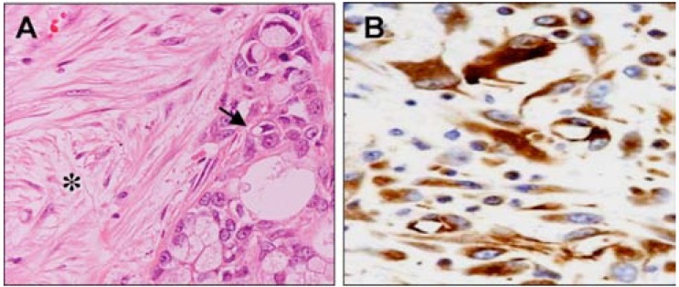 Fig. (3)