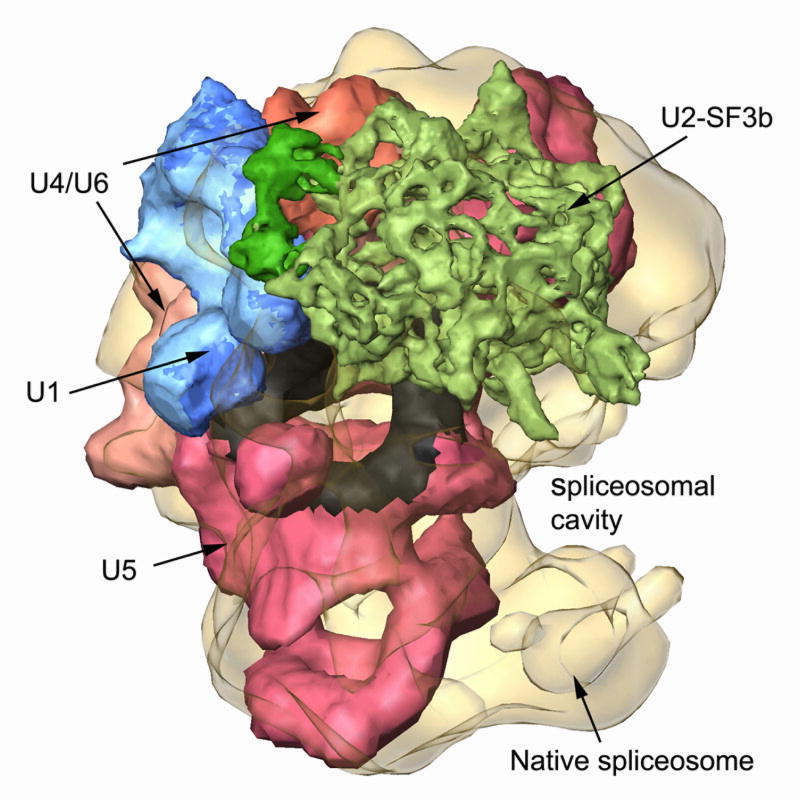 Fig. 9