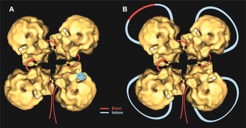 Fig. 13