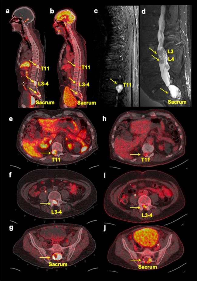 Fig. 4