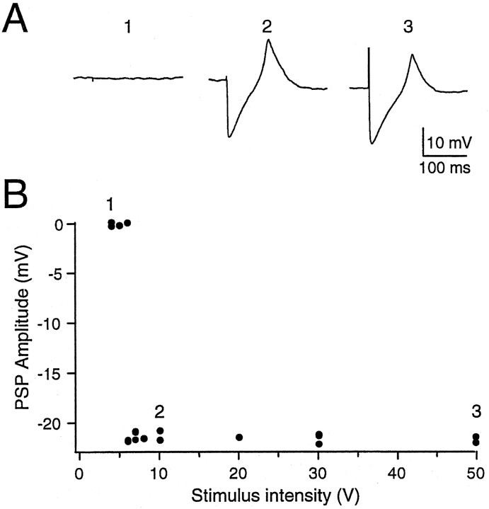 Fig. 12.