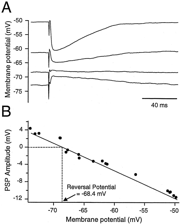 Fig. 10.