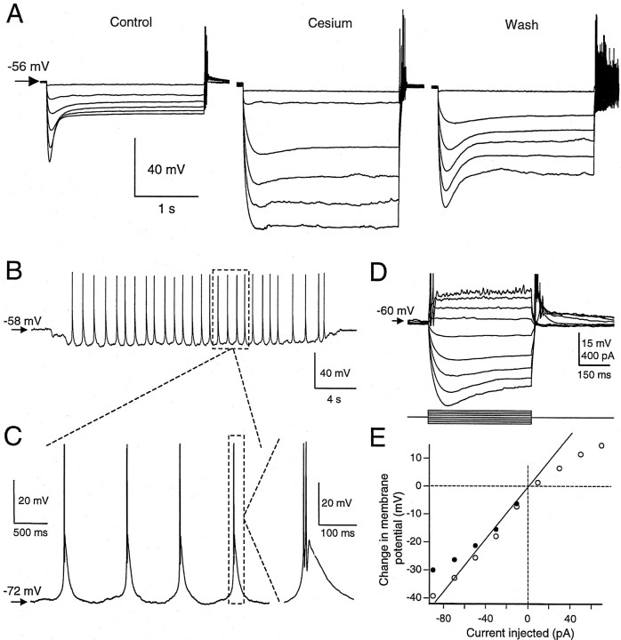 Fig. 5.