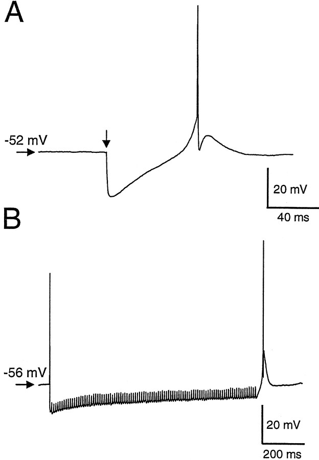 Fig. 13.