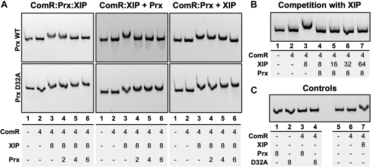 Figure 7