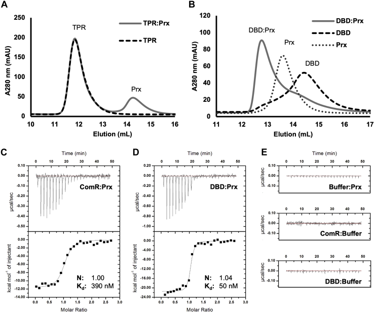 Figure 2