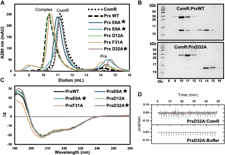 Figure 4