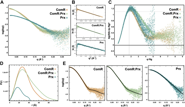 Figure 5