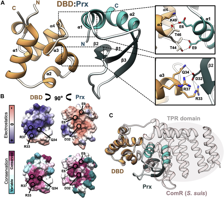 Figure 3