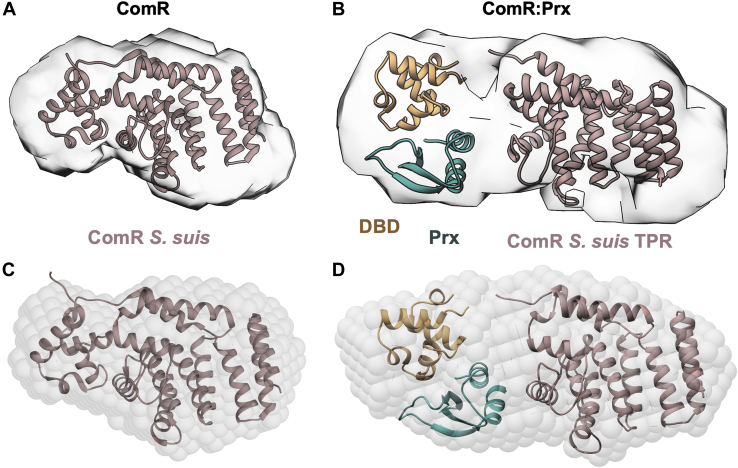 Figure 6