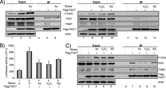 FIG. 9.