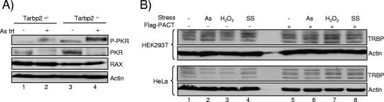 FIG. 8.