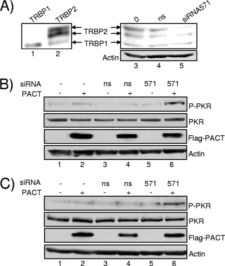 FIG. 7.