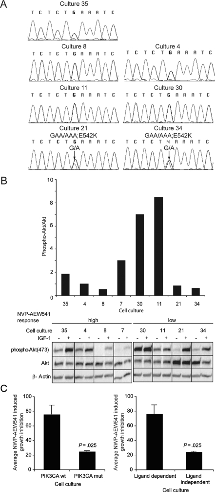 Fig. 2.