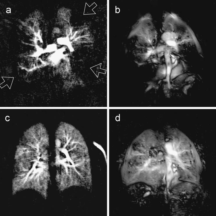 Fig. 9