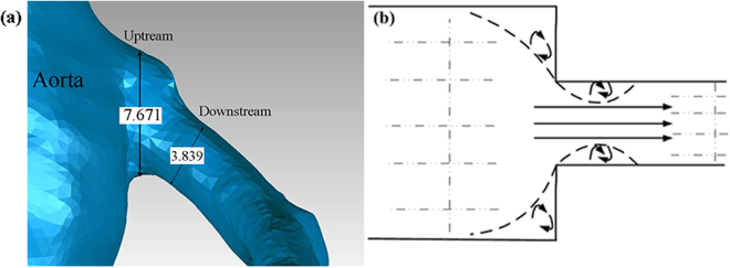 Figure 8