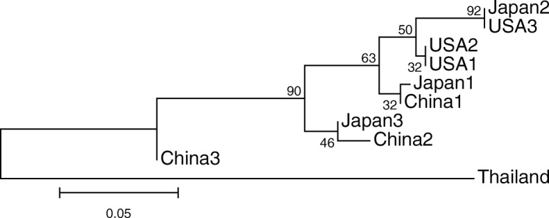 Fig. 6