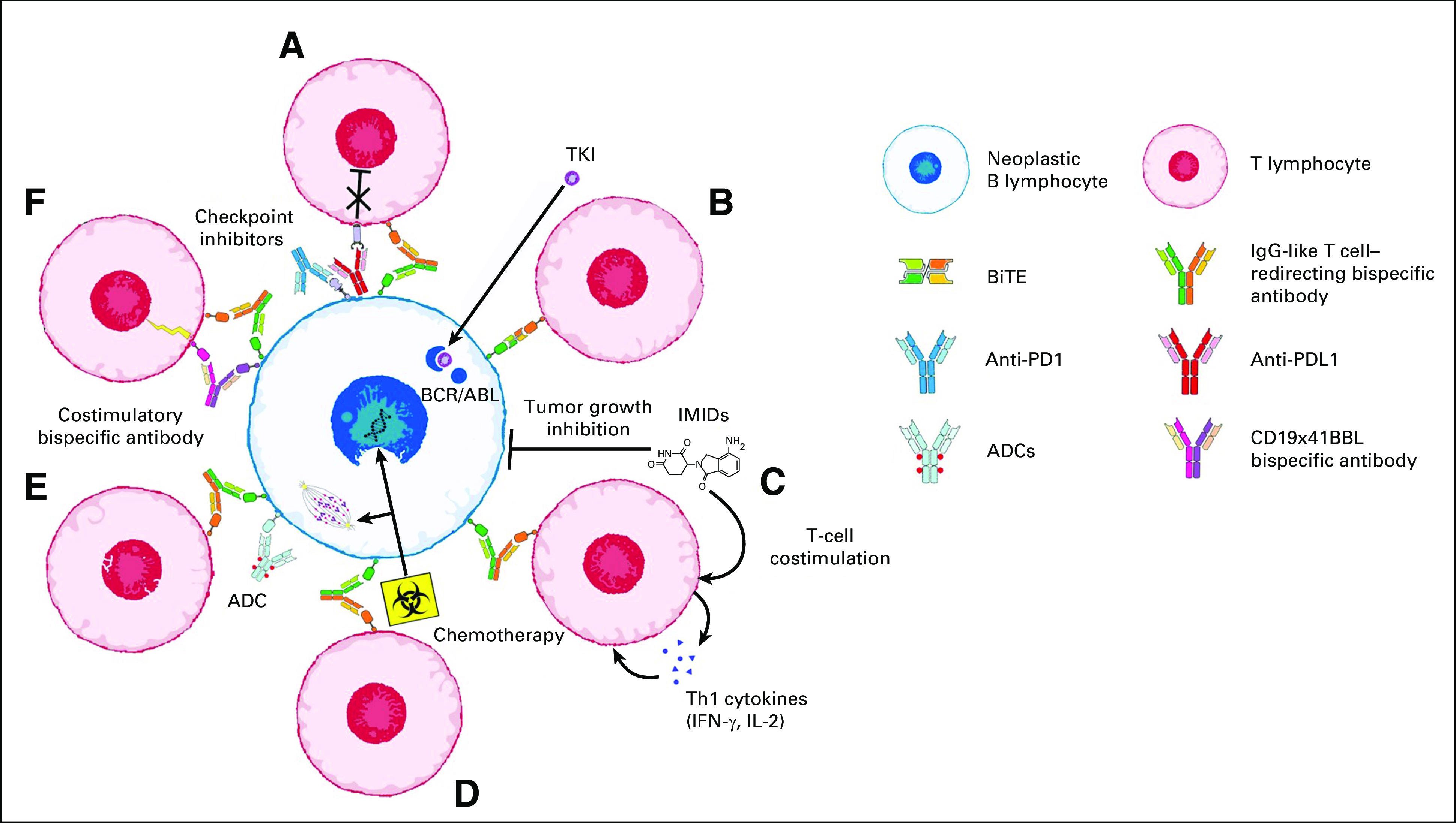 FIG 2.