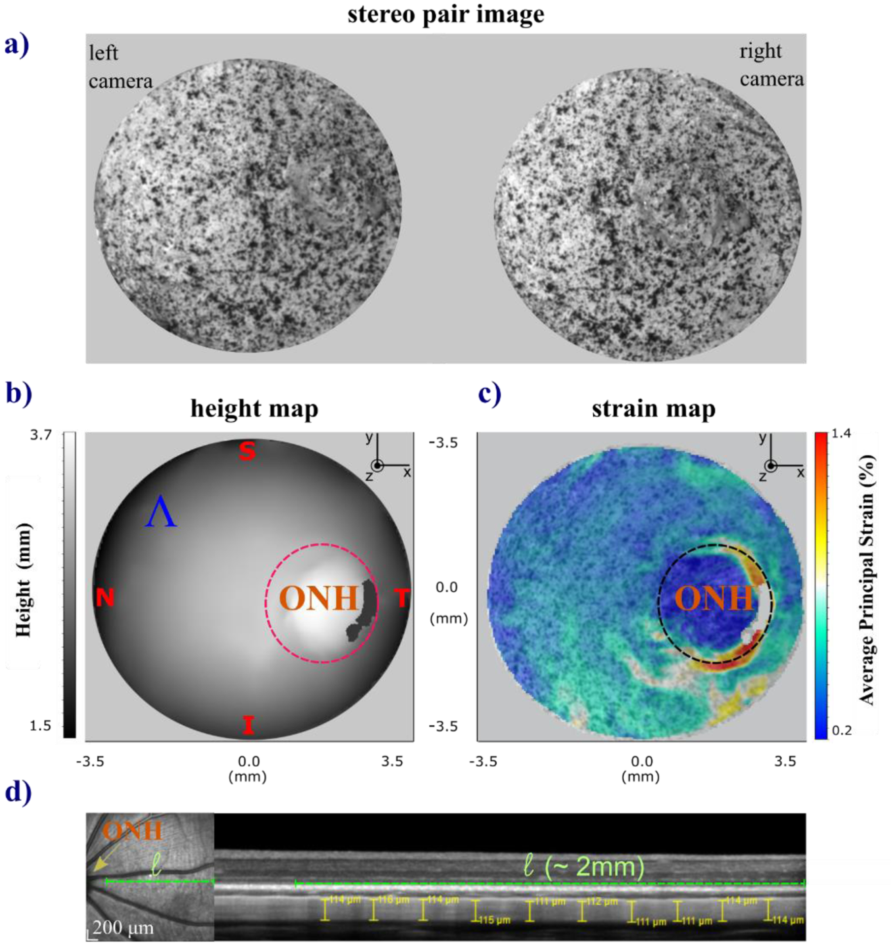 Fig. 3.