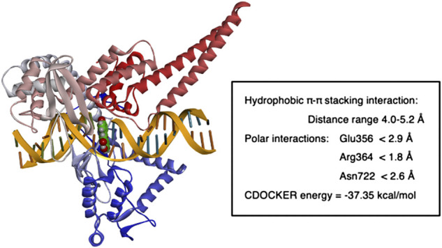 FIGURE 6